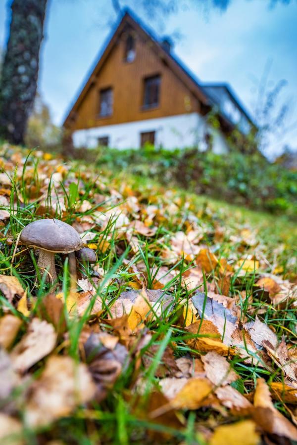 U Staré hájenky Jindrichov Exterior foto